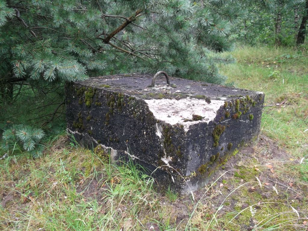 DSCF0266.JPG