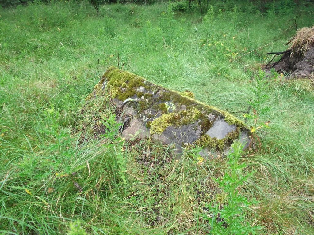 DSCF0267.JPG