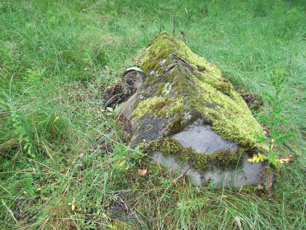 DSCF0268.JPG