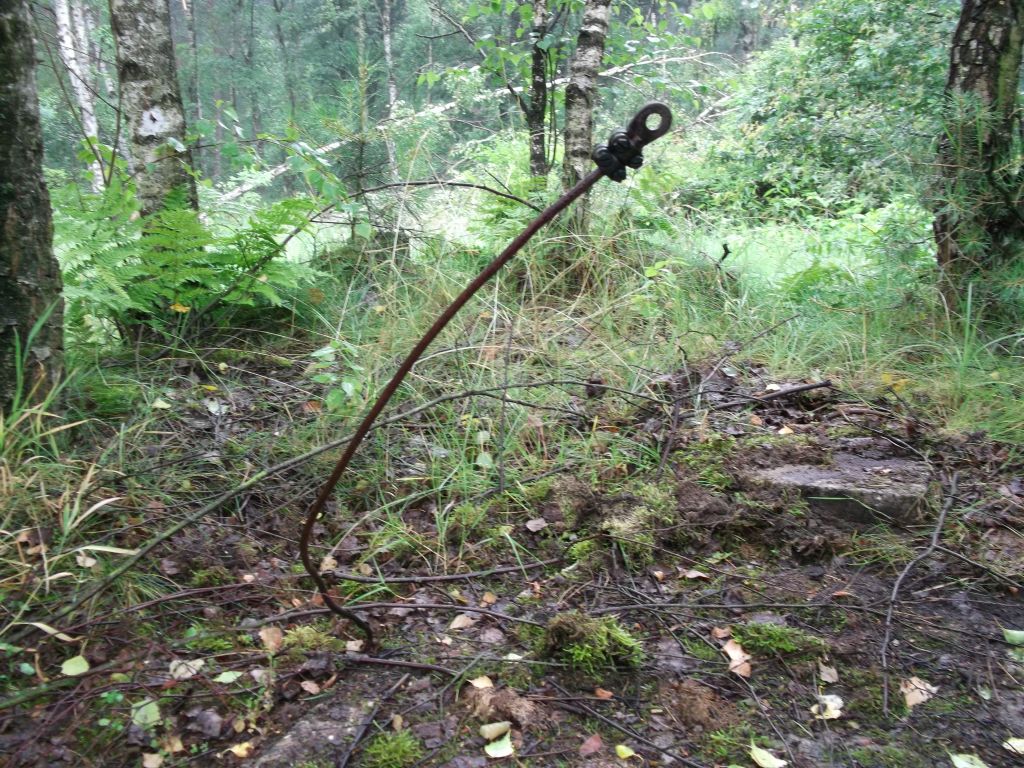 DSCF0270.JPG