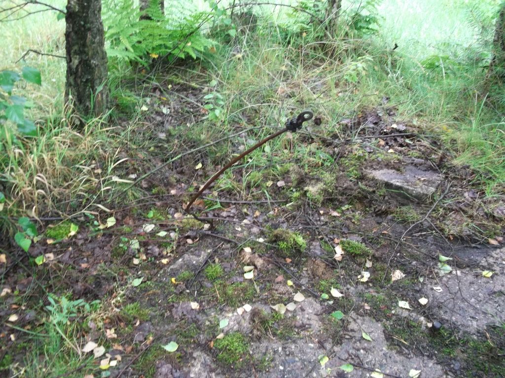 DSCF0271.JPG