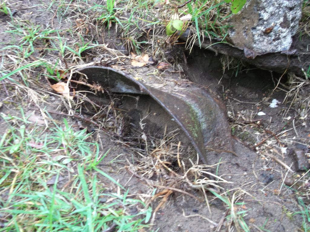 DSCF0278.JPG