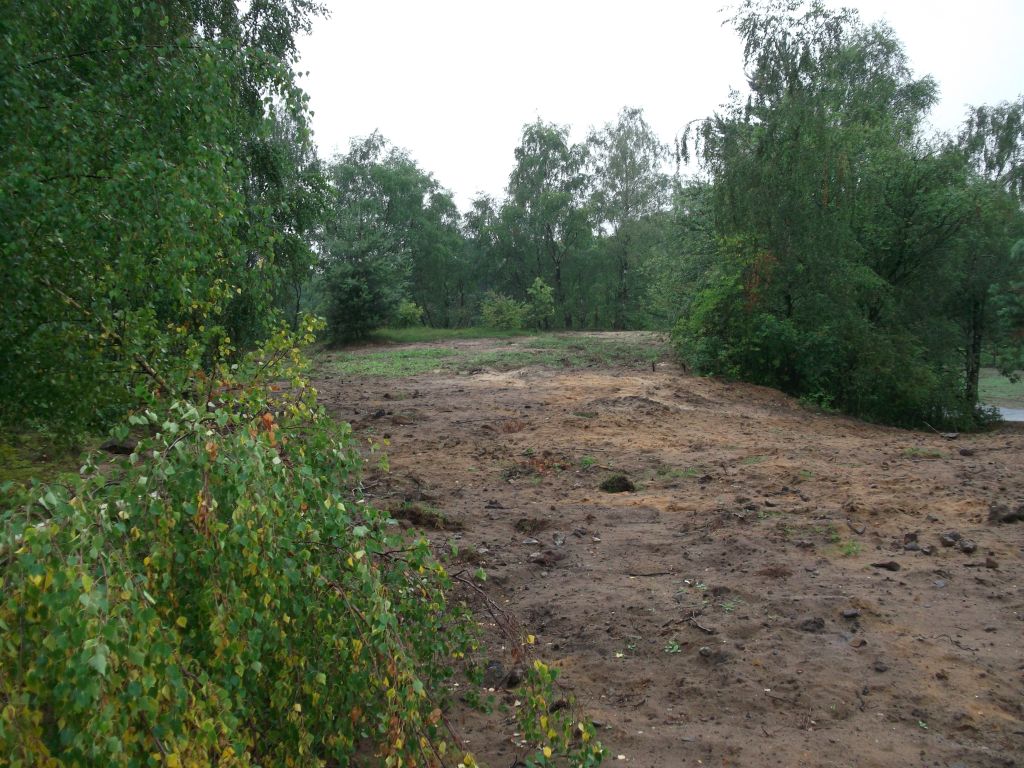 DSCF0281.JPG