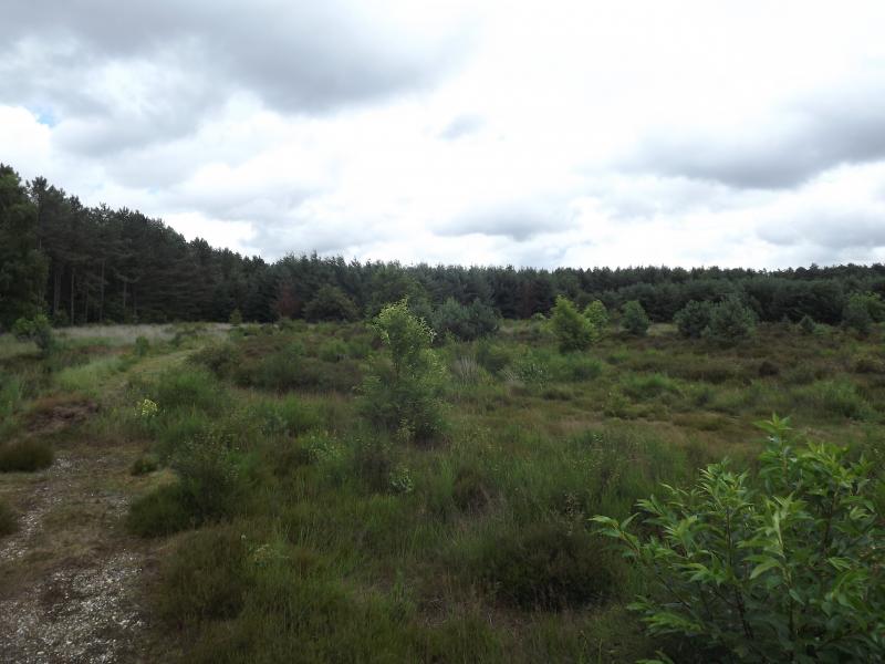 DSCF0375.JPG
