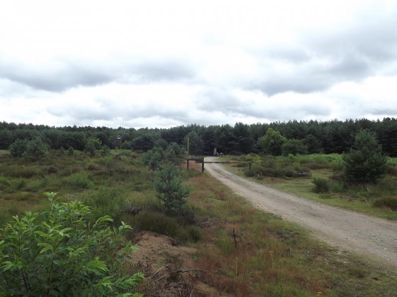 DSCF0376.JPG