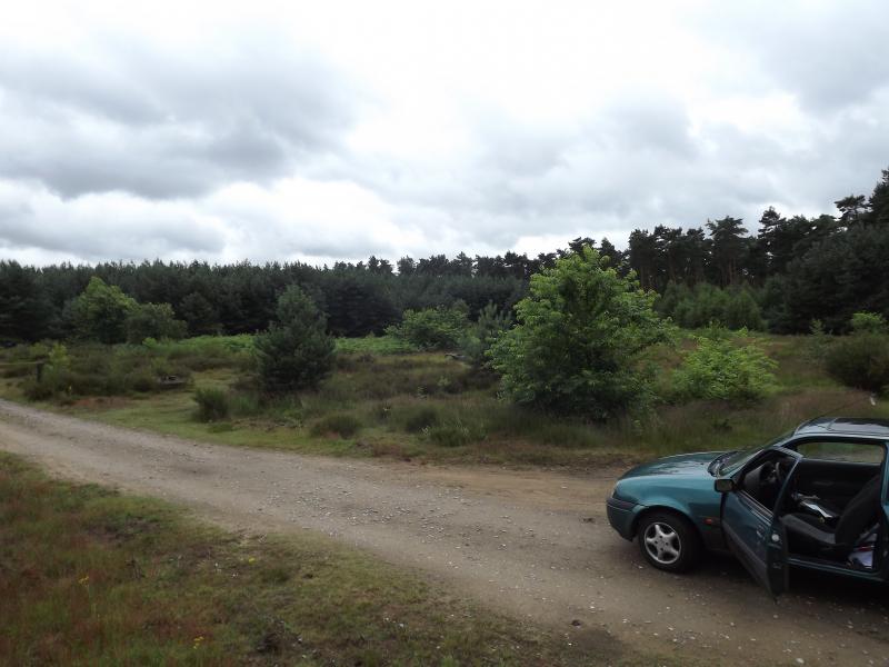 DSCF0377.JPG