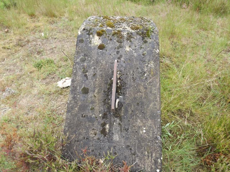 DSCF0382.JPG