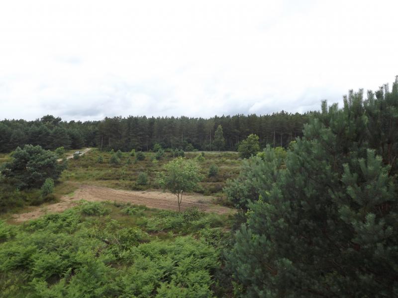 DSCF0387.JPG