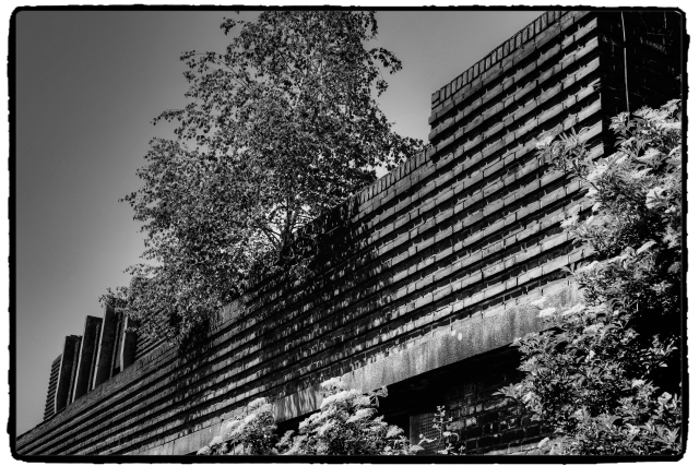 DSCF0528_Enhancer_Fotorx.jpg