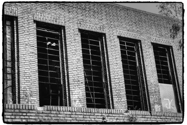 DSCF0534_Enhancer_Fotorx.jpg