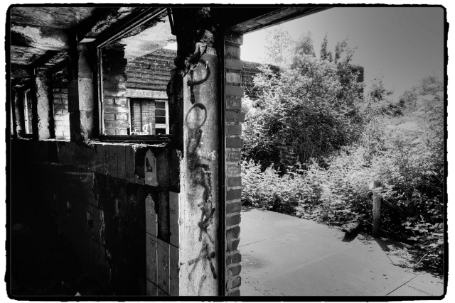 DSCF0561_Enhancer_Fotorx.jpg