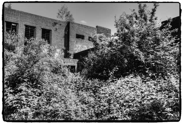 DSCF0567_Enhancer_Fotorx.jpg
