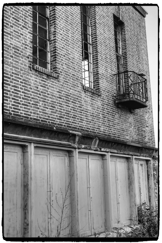 DSCF0617_Enhancer_Fotor3.jpg