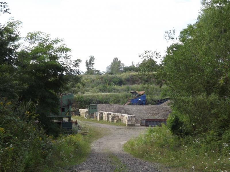 DSCF0772.JPG