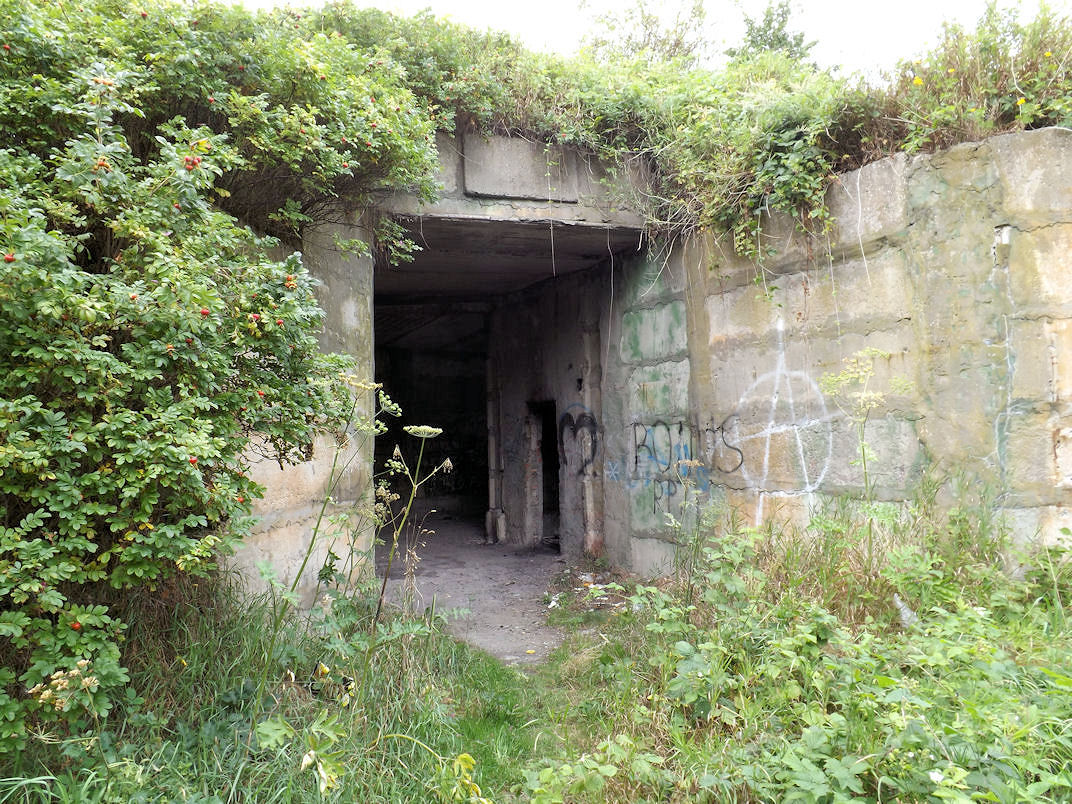 DSCF1554.JPG