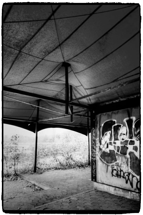 DSCF2826_Enhancer_Fotorx.jpg