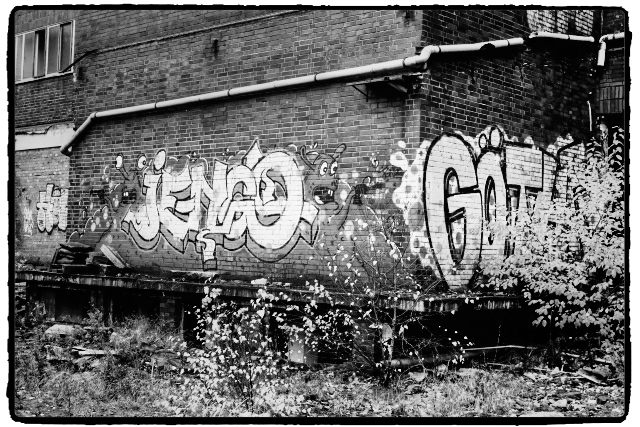 DSCF3300_Enhancer_Fotorx.jpg