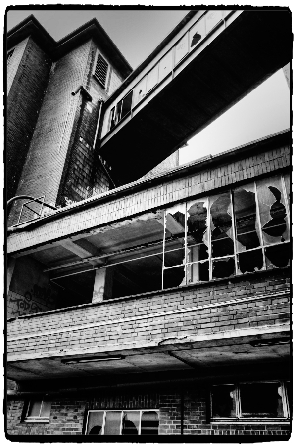 DSCF3314_Enhancer_Fotorx.jpg