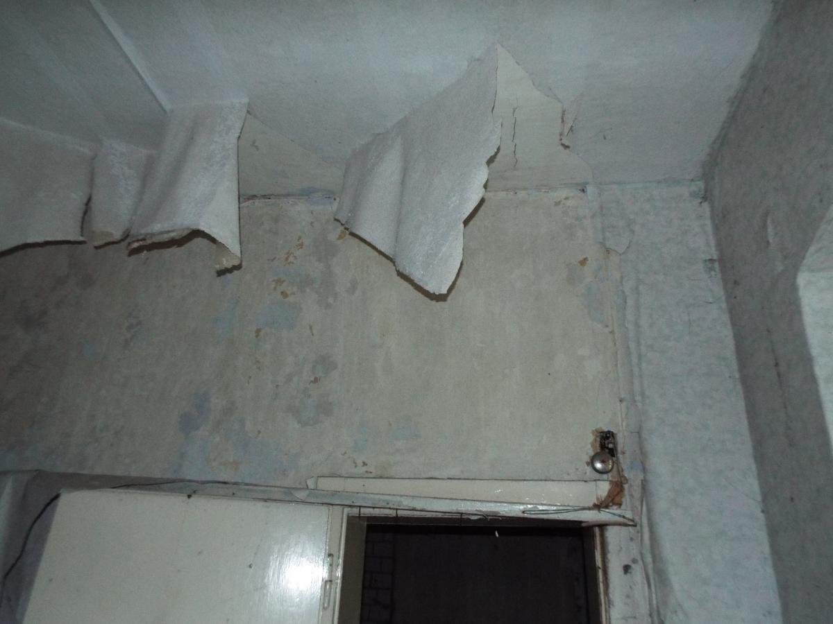 DSCF4567.JPG
