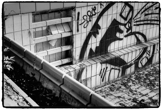 DSCF4726_Enhancer_Fotorx.jpg