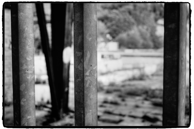 DSCF4737_Enhancer_Fotorx.jpg