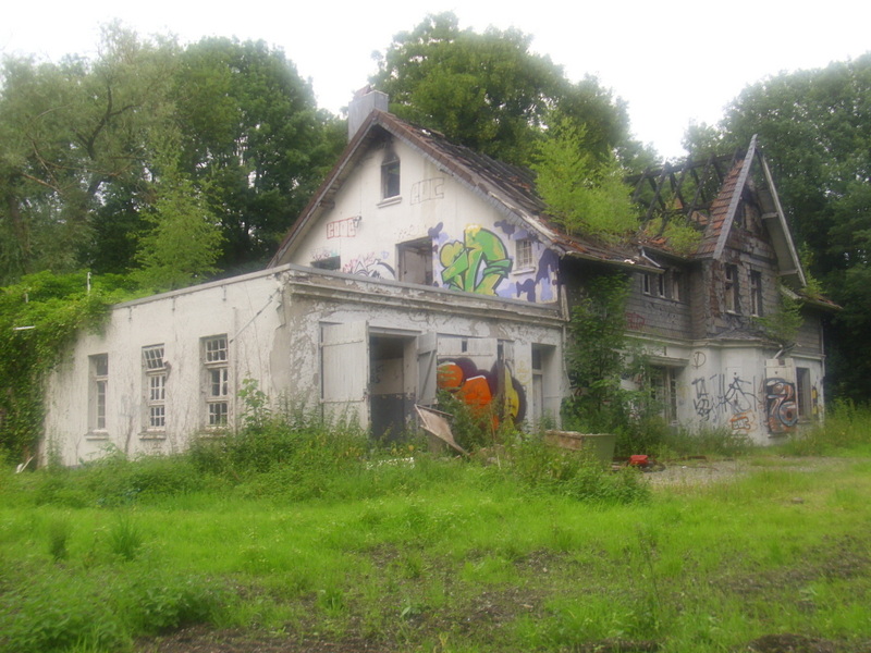 DSCI0805.JPG