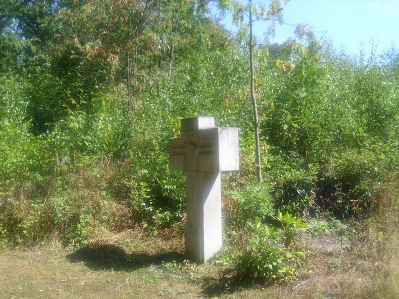 DSCI1482.JPG
