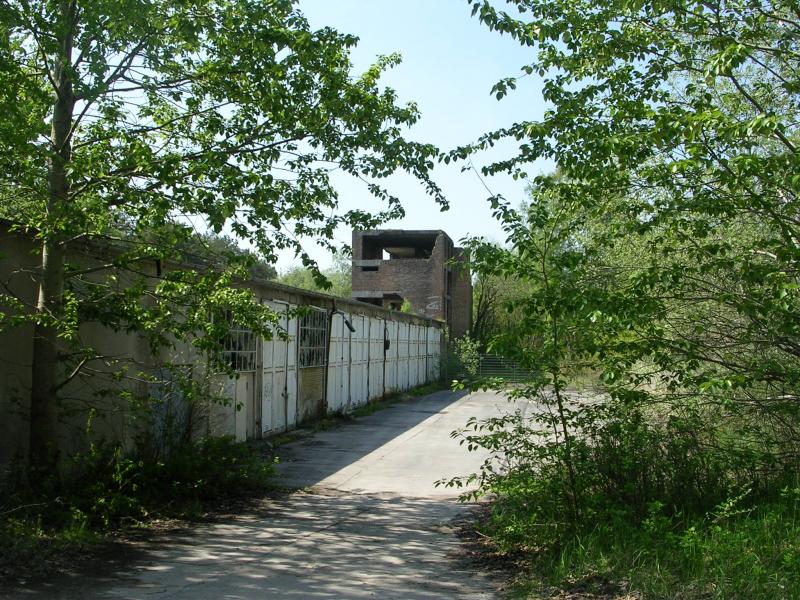 DSCN6446.JPG