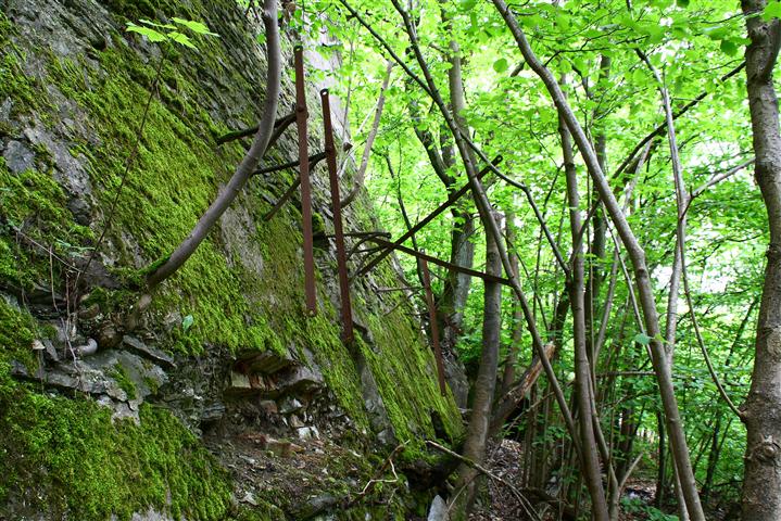 Fabrik im Wald14 (Small).JPG