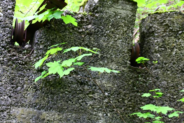 Fabrik im Wald21 (Small).JPG