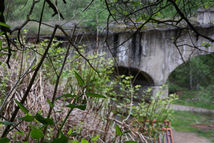 Fabrik im Wald31 (Small).JPG