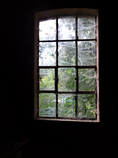 Fenster.jpg