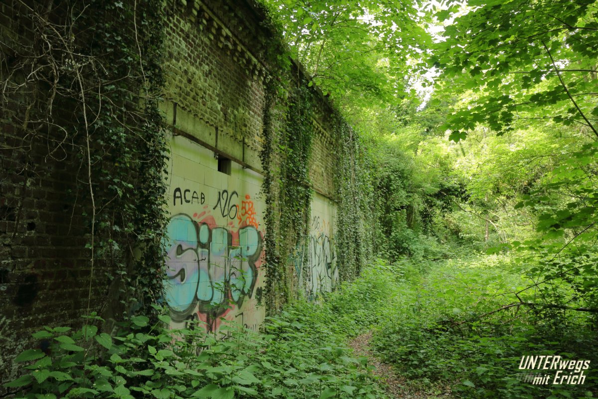 Fort_VII-F05_202505.JPG