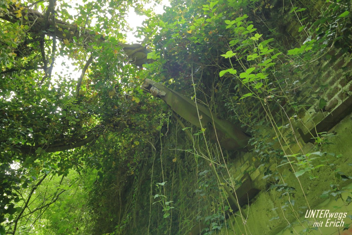 Fort_VII-F06_202505.JPG