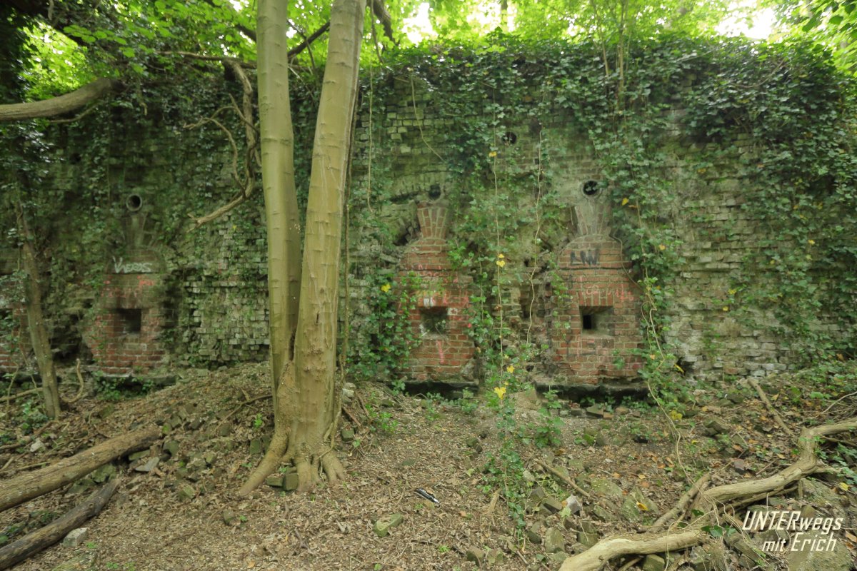 Fort_VII-F12_202505.JPG