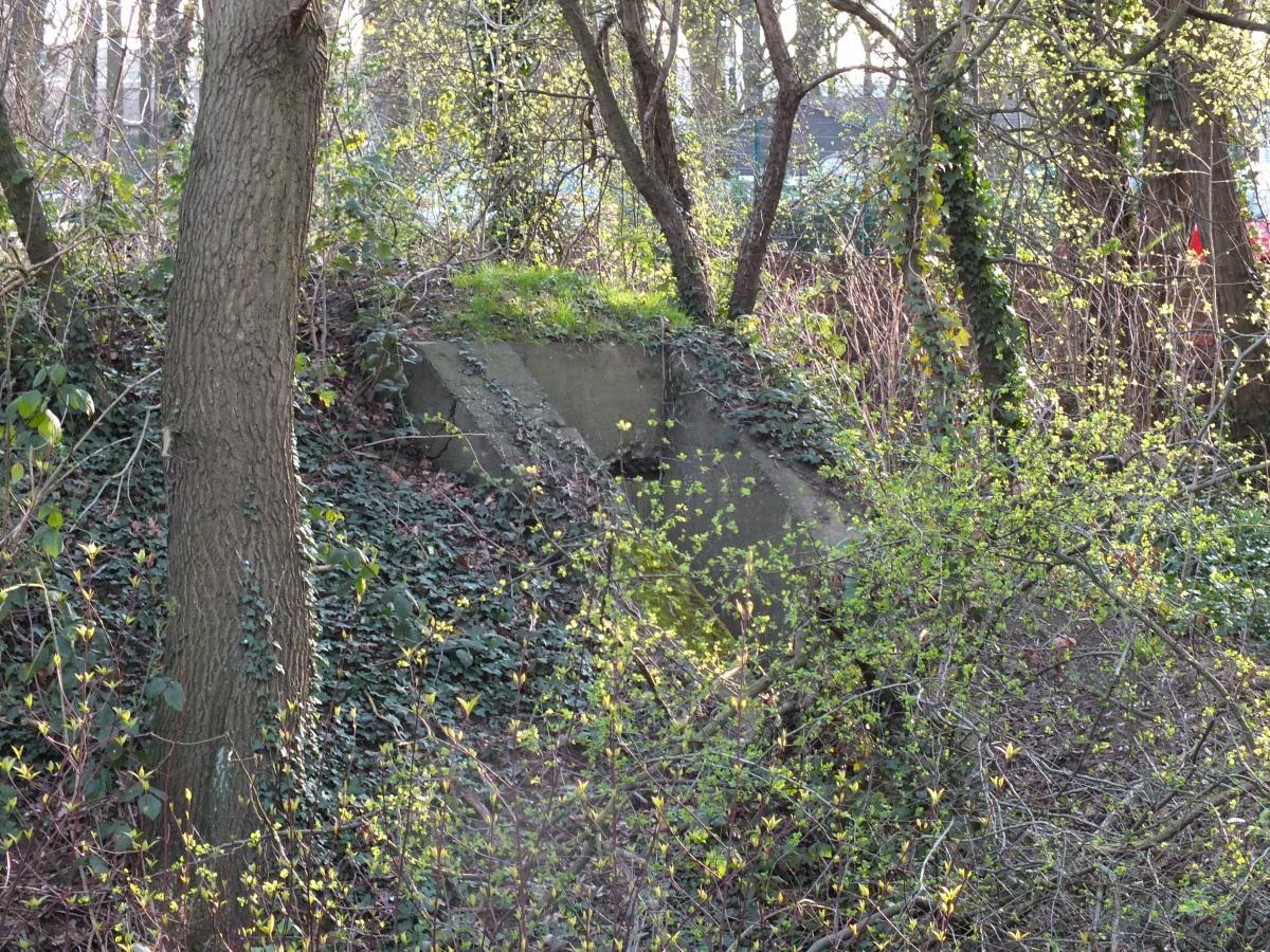 Früling im Volkspark 038.JPG