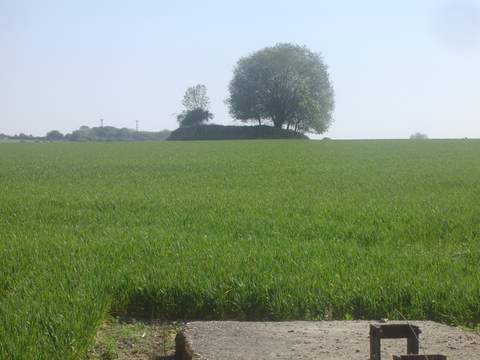 gemischt,bunker 053.jpg