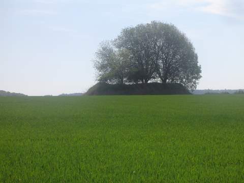 gemischt,bunker 062.jpg