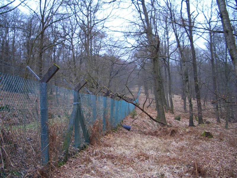 Großzugügige Anlage mit Betonzaunpfählen.JPG