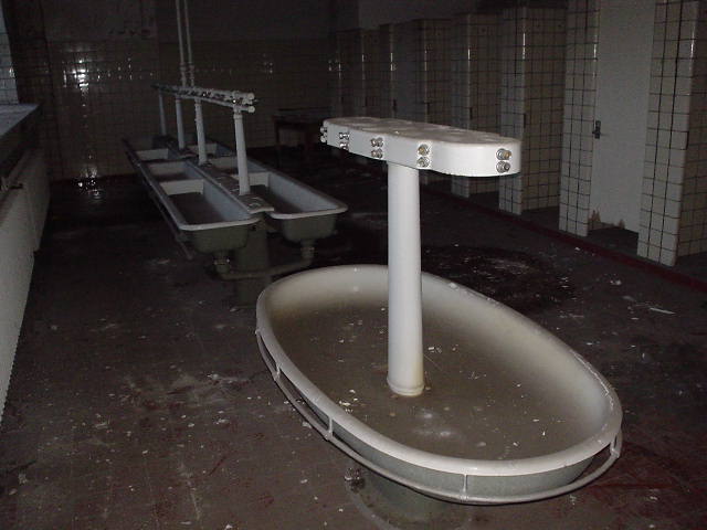 hö135.JPG