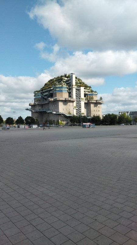 IMG-20250611-WA0004.jpeg