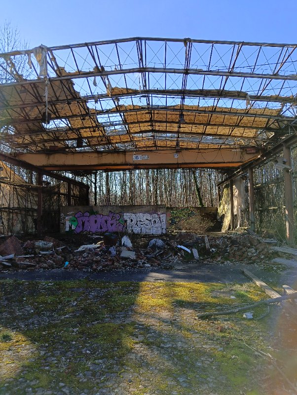 IMG20250216142448.jpg