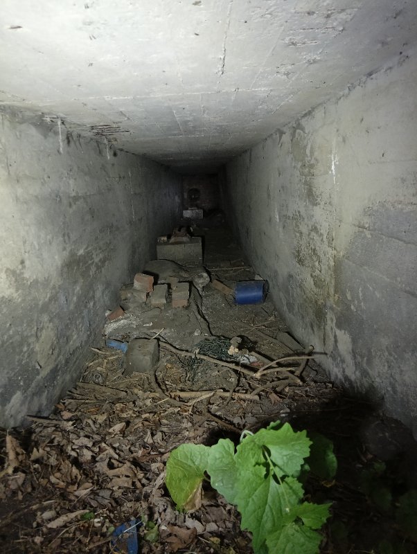 IMG20250523185102.jpg