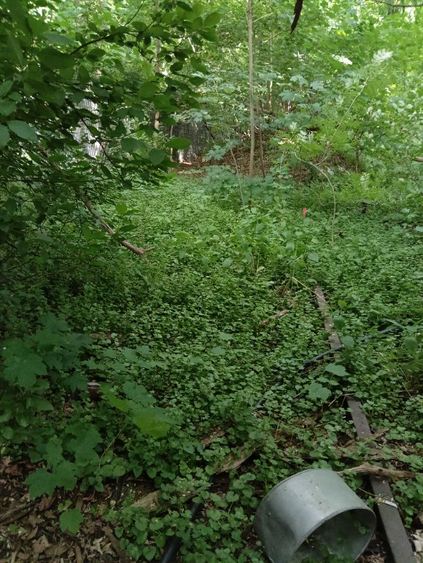 IMG20250523190104.jpg