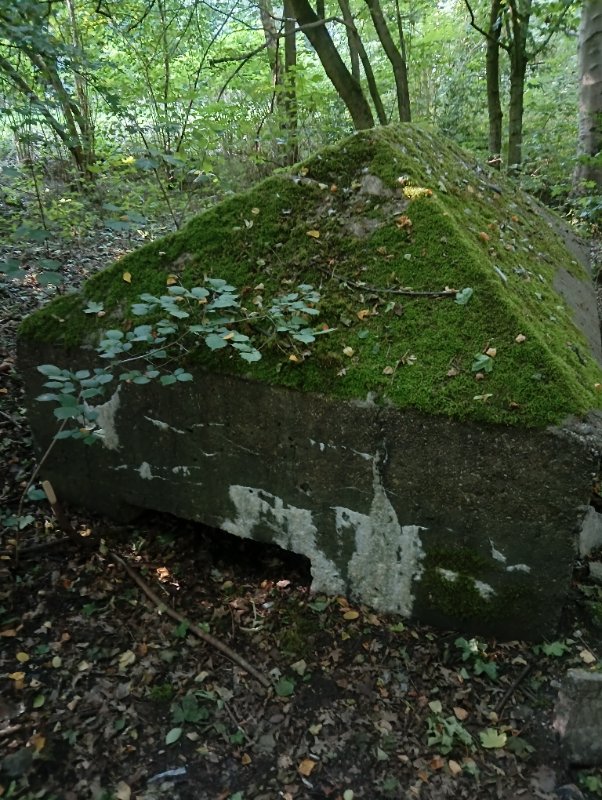 IMG20250620190026.jpg