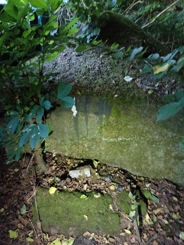 IMG20250620190350.jpg