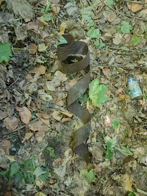 IMG20250629111107.jpg