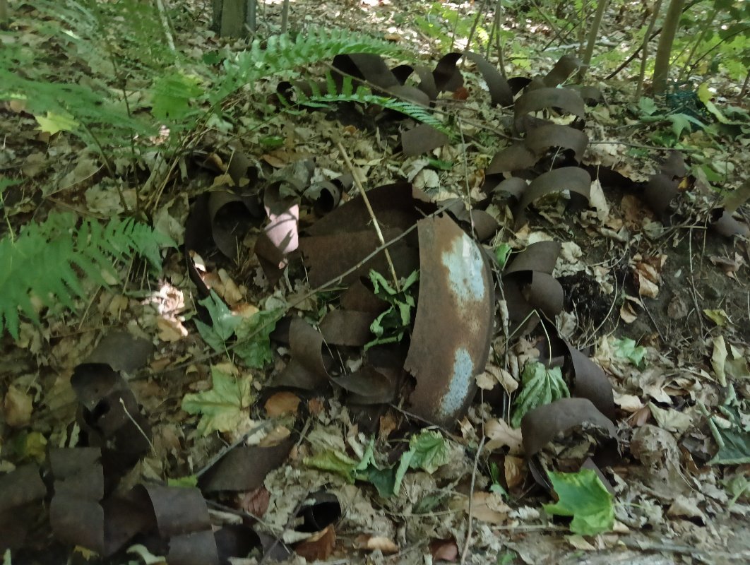 IMG20250629111414.jpg