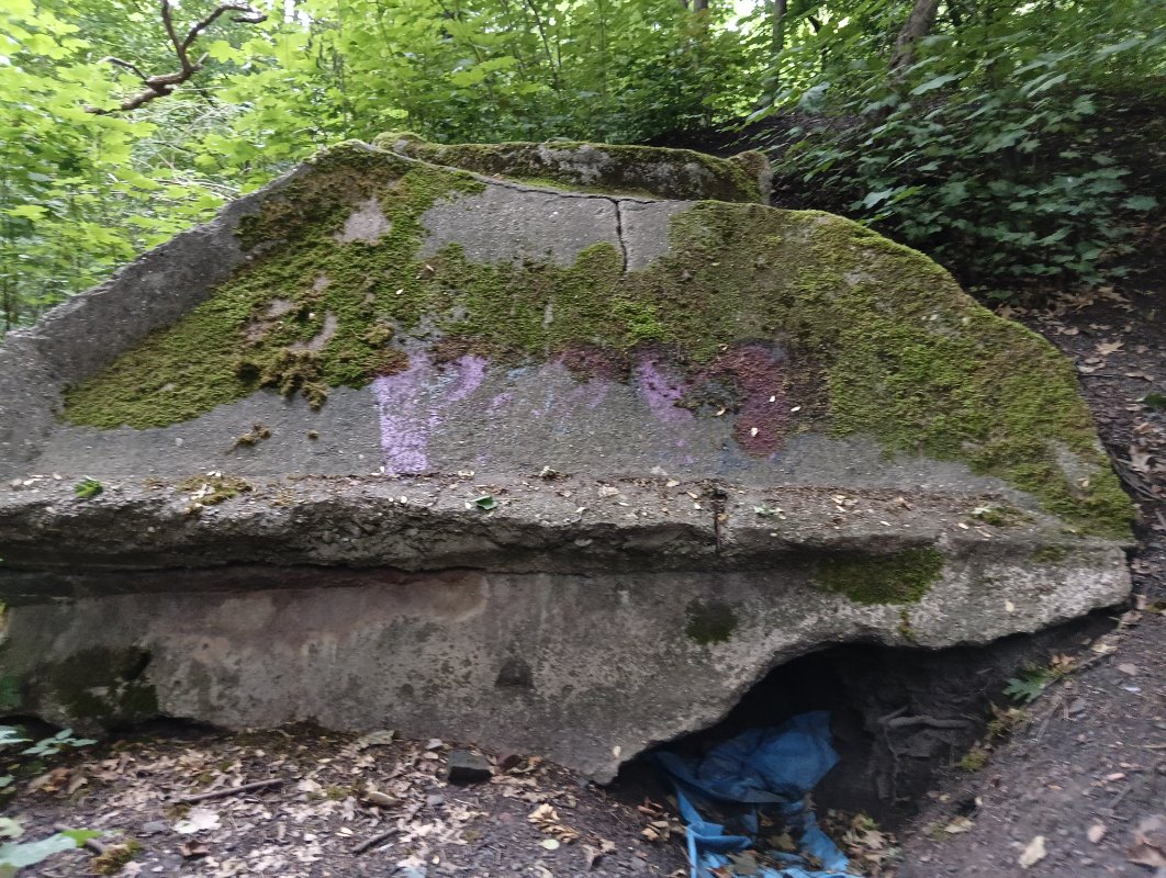 IMG20250706112722.jpg