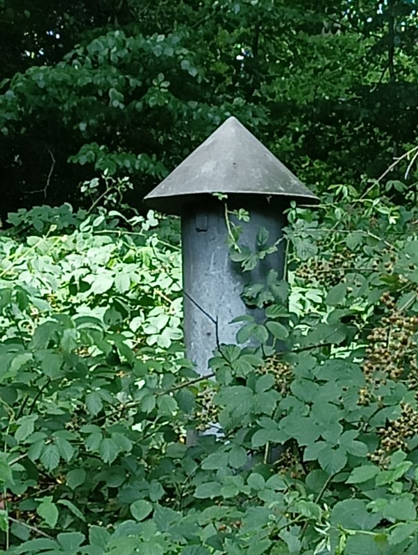 IMG20250719140958.jpg